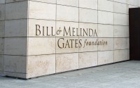 Case Study: Philanthropy and Divorce - Melinda Gates Leaves the Bill and Melinda Gates Foundation